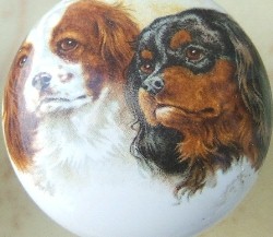 ceramic cabinet knob king charles spaniel