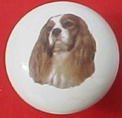 ceramic cabinet knob king charles spaniel