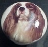 ceramic cabinet knob king charles spaniel