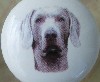 cabinet knob Weimaraner