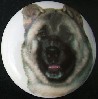 cabinet knob akita