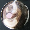 cabinet knob bernese mountain dog