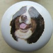 cabinet knob bernese mountain dog