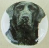 ceramic cabinet knob black labrador retiever