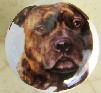 ceramic cabinet knob american staffordshire terrier pitbull brindle