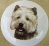 cabinet knob cairn terrier