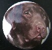ceramic cabinet knob chocolate labrador retiever