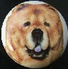 cabinet knob chow chow