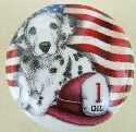cabinet knob dalmation