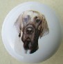 eramic cabinet knob great dane
