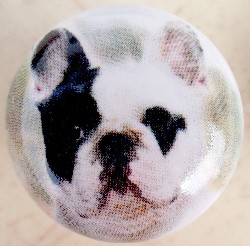cabinet knob French Bulldog