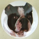 cabinet knob French Bulldog