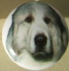 ceramic cabinet knob great pyrenes