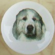 ceramic cabinet knob great pyrenes