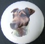 ceramic cabinet knob jack russell terrier