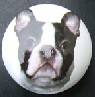 cabinet knob boston terrier