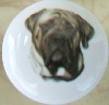 www.knobsrusny.com Bull mastiff norfolk terrier cabinet knobs