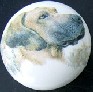 eramic cabinet knob great dane