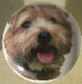 ceramic cabinet knob norfolk terrier