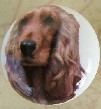 cabinet knob cocker spaniel brindle