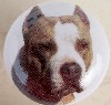 ceramic cabinet knob pitbull