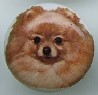 www.knobsrusny.com Pomeranian pappilon  cabinet knobs