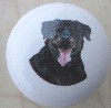 eramic cabinet knob rottweiler rottwieler