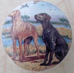 Cabinet knob Saluki & Gordon setter setter