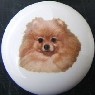 ceramic cabinet knob pomeranian