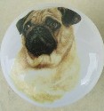 Cabinet Knob Fawn Pug