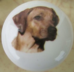 ceramic cabinet knob rhodesian ridgeback