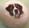 ceramic cabinet knob St Bernard