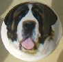 ceramic cabinet knob St Bernard
