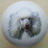 ceramic cabinet knob white poodle