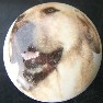 ceramic cabinet knob yellow labrador retiever