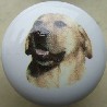 ceramic cabinet knob yellow labrador retriever
