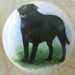 ceramic cabinet knob black labrador retiever