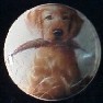 ceramic cabinet knob yellow labrador retiever