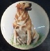 ceramic cabinet knob yellow labrador retiever