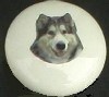 ceramic cabinet knob malamute