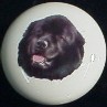 ceramic cabinet knob newfoundland newfie