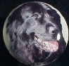ceramic cabinet knob newfoundland newfie