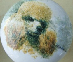 ceramic cabinet knob apricot poodle