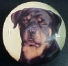 www.knobsrusny.com Rottweiler ridgeback cabinet knobs
