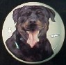 ceramic cabinet knob rottweiler rottwieler