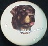 ceramic cabinet knob rottweiler rottwieler