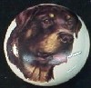 ceramic cabinet knob rottweiler rottwieler