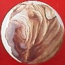 ceramic cabinet knob shar pei