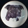 ceramic cabinet knob american staffordshire terrier pitbull