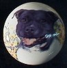 ceramic cabinet knob american staffordshire terrier pitbull